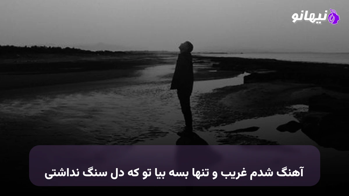 دانلود آهنگ شدم غریب و تنها بسه بیا تو که دل سنگ نداشتی
